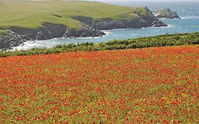 Trevornick Holiday Park